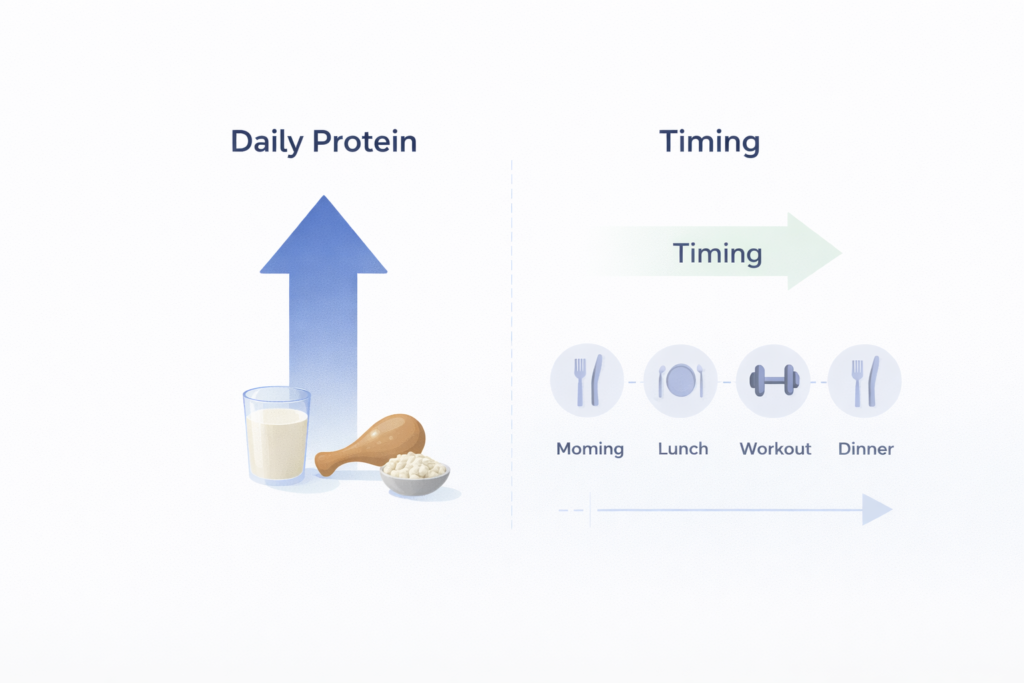 Illustration showing protein intake timing around resistance training, highlighting muscle recovery and daily protein distribution
