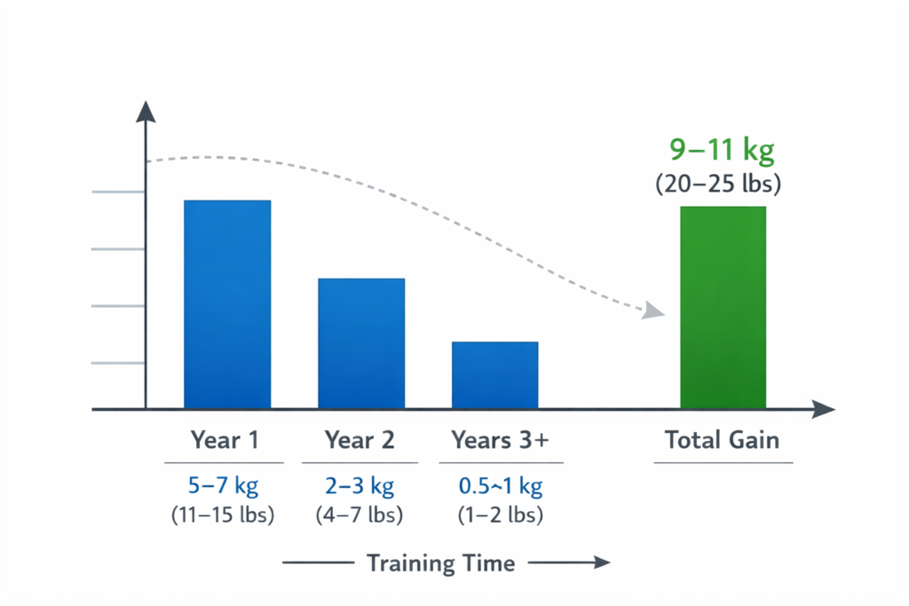 Estimated natural muscle gain potential over time based on training experience