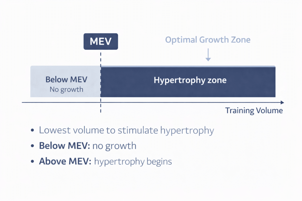 Minimum effective volume for hypertrophy diagram showing weekly training volume threshold from below MEV to the hypertrophy zone.