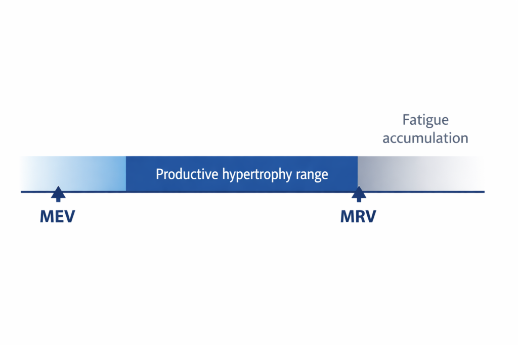 maximum recoverable volume (MRV) hypertrophy diagram showing MEV optimal training range and excessive training volume