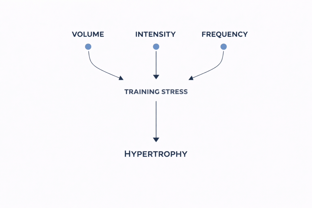 hypertrophy training program diagram showing volume intensity frequency leading to hypertrophy