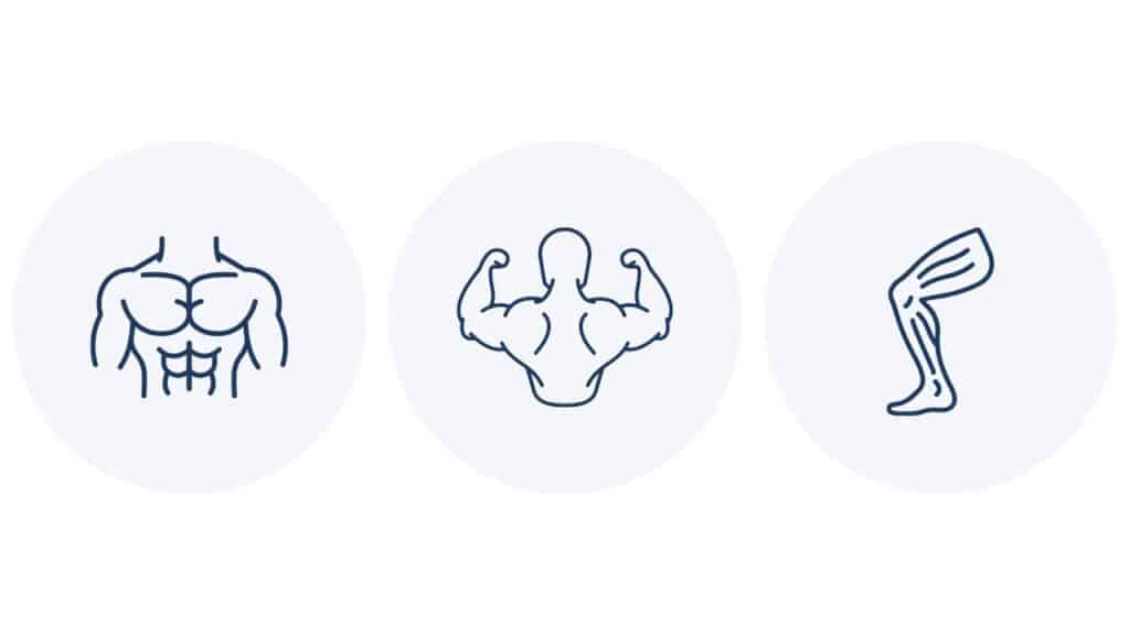 Push pull legs hypertrophy diagram showing three training categories for push, pull, and legs in a structured split