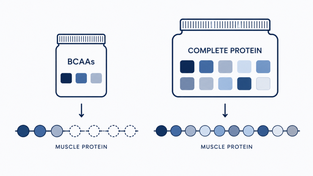 Minimalist diagram comparing BCAAs with complete protein for muscle growth, showing that complete protein provides all essential amino acids needed to build muscle protein.