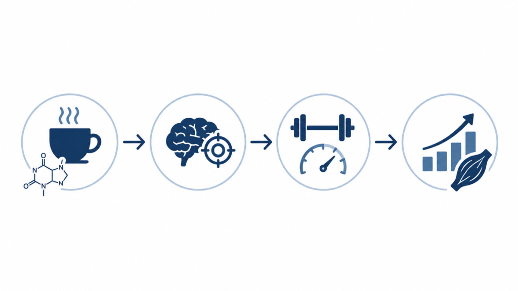 Diagram showing how caffeine can improve focus, perceived effort and training performance during strength training.
