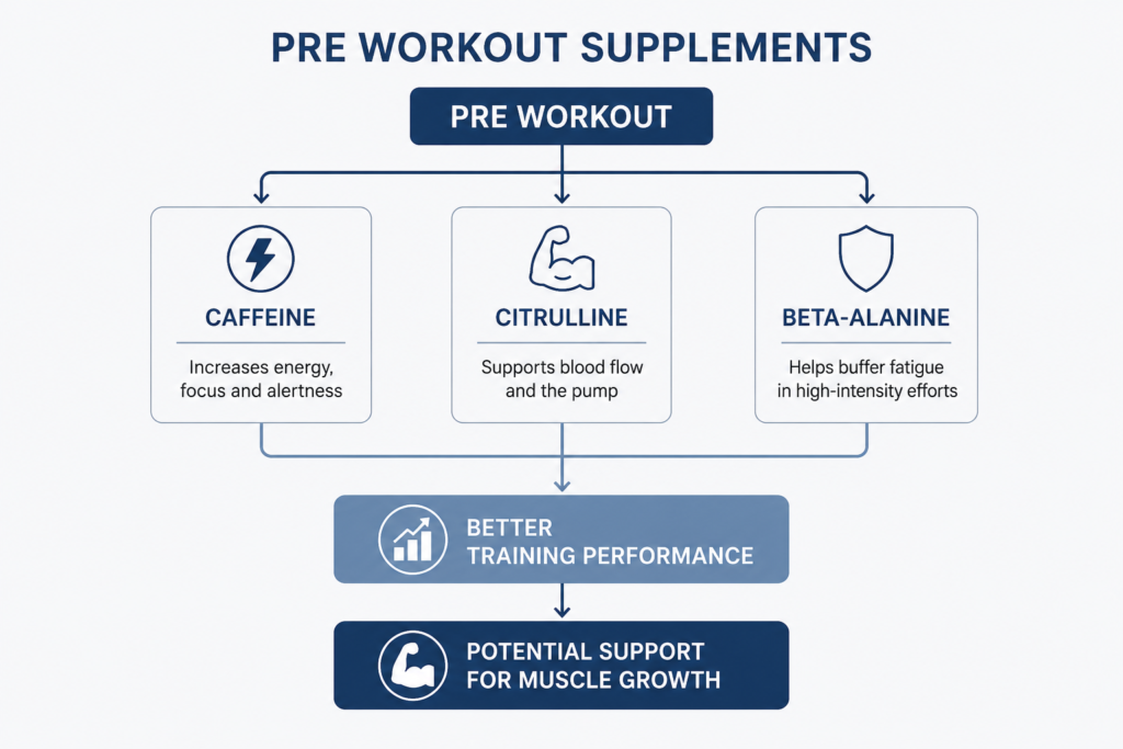 Pre workout supplements diagram showing caffeine, citrulline and beta-alanine as the main evidence-based ingredients for training performance.