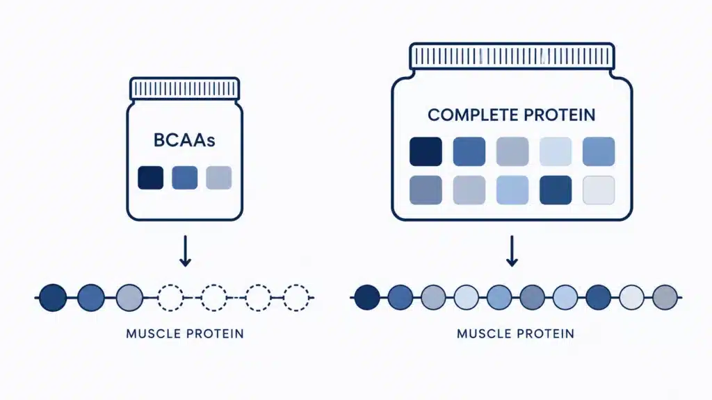 Minimalist diagram comparing BCAAs with complete protein for muscle growth, showing that complete protein provides all essential amino acids needed to build muscle protein.