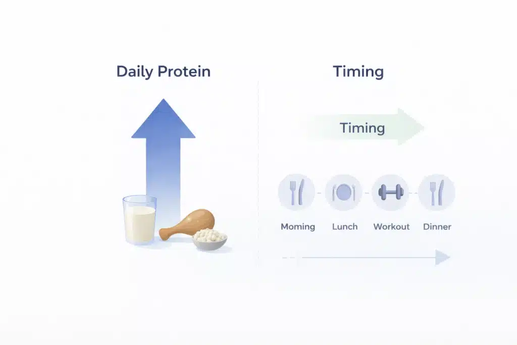 Illustration showing protein intake timing around resistance training, highlighting muscle recovery and daily protein distribution
